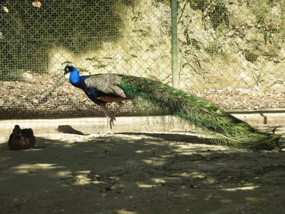 סבר דו ווגה Encosta Dos Tuneis - Turismo E Lazer מראה חיצוני תמונה